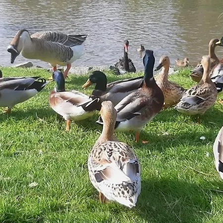 Souplex Chateau Cote De Nacre Bed & Breakfast Ver-sur-Mer