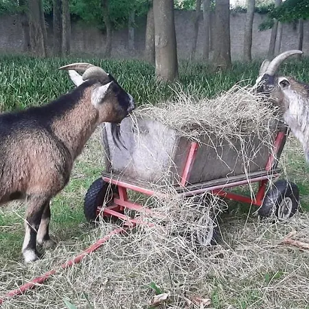 Souplex Chateau Cote De Nacre 4* Ver-sur-Mer