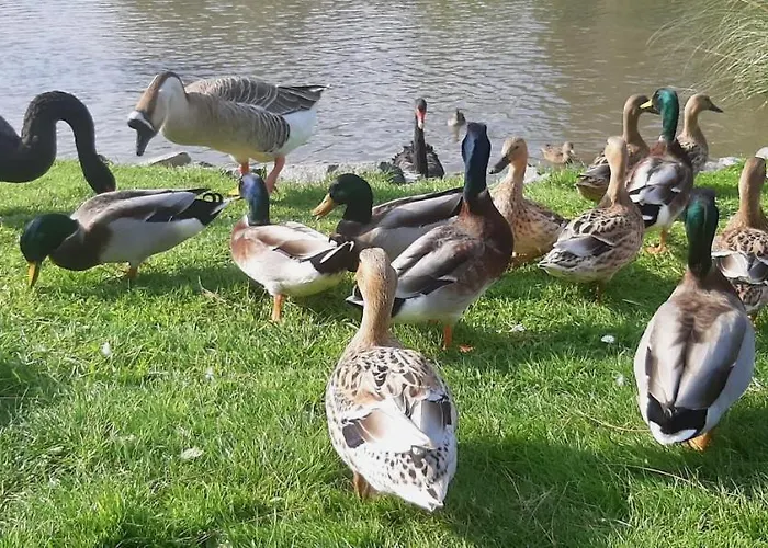 Souplex Chateau Cote De Nacre Bed & Breakfast Ver-sur-Mer