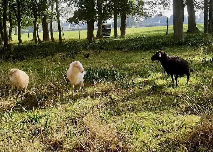 Souplex Chateau Cote De Nacre Bed & Breakfast 4*