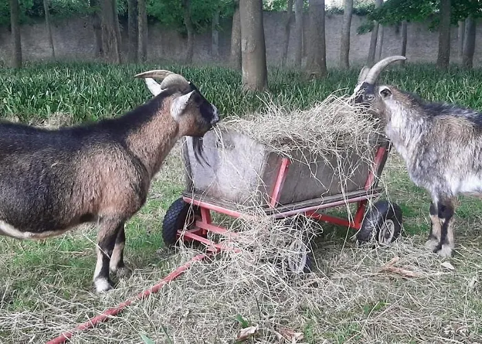 Souplex Chateau Cote De Nacre 4* Ver-sur-Mer